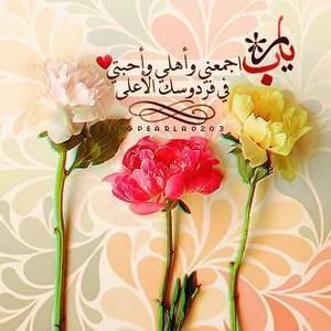 Meet your Posher, Shumila